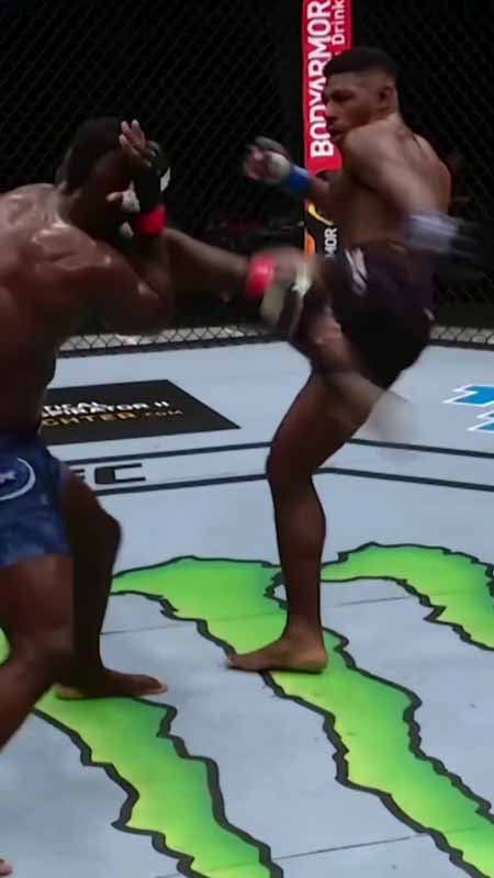 Transitional Hooks UFC Knockout